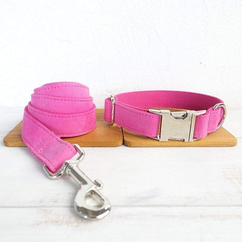 Dog Collar & Leash | Pink - Barker & Bone