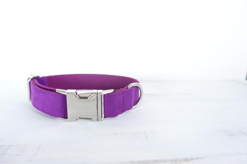 Dog Collar | Purple - Barker & Bone 