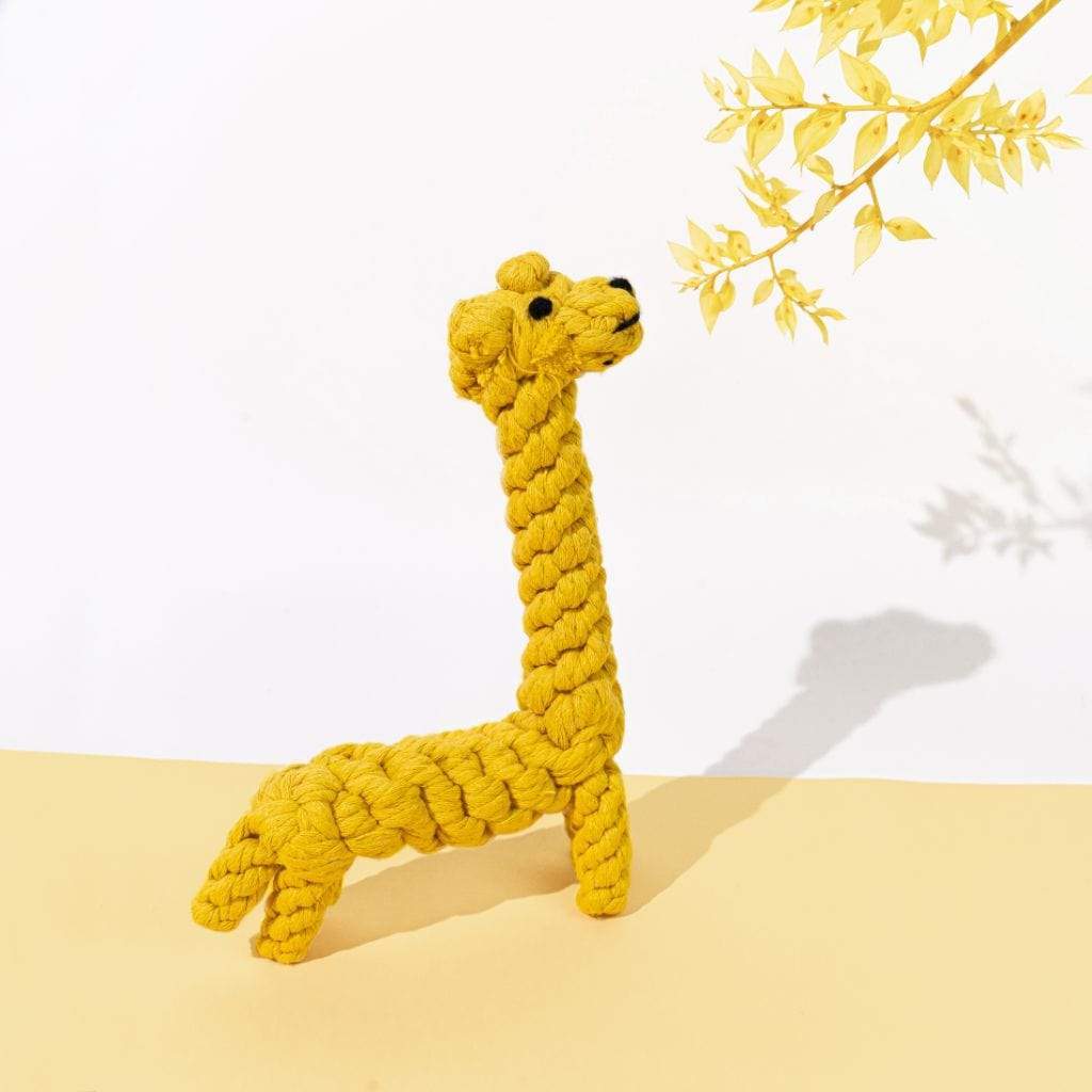 Dog Toy | Giraffe - Barker & Bone 