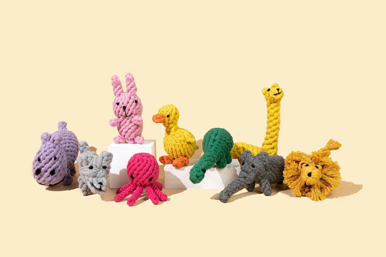 Barker & Bone Rope Dog Toy