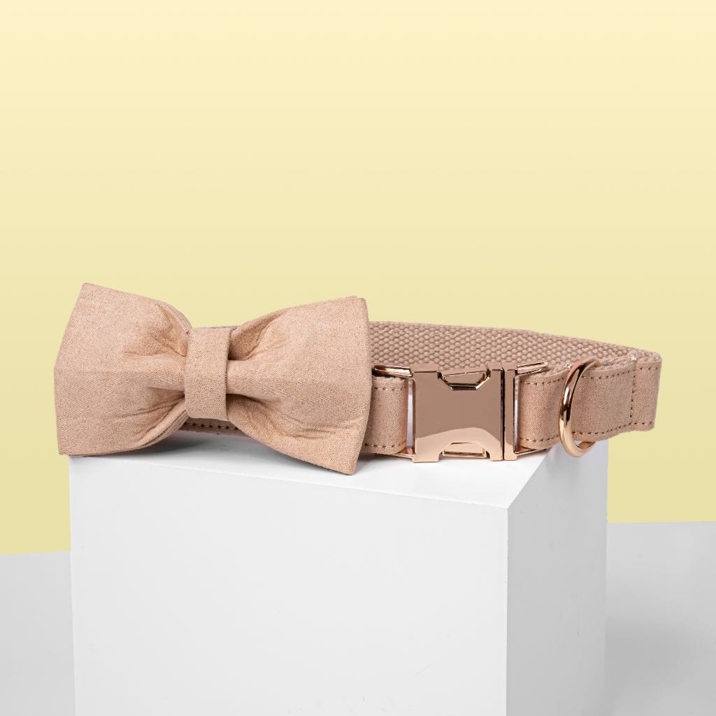  Cream Bow Tie Dog Collar - Barker &amp; Bone 