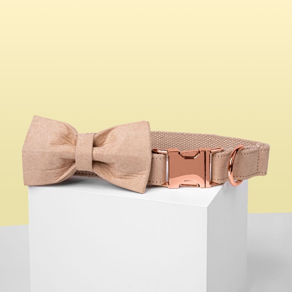 Cream Bow Tie Dog Collar - Barker &amp; Bone