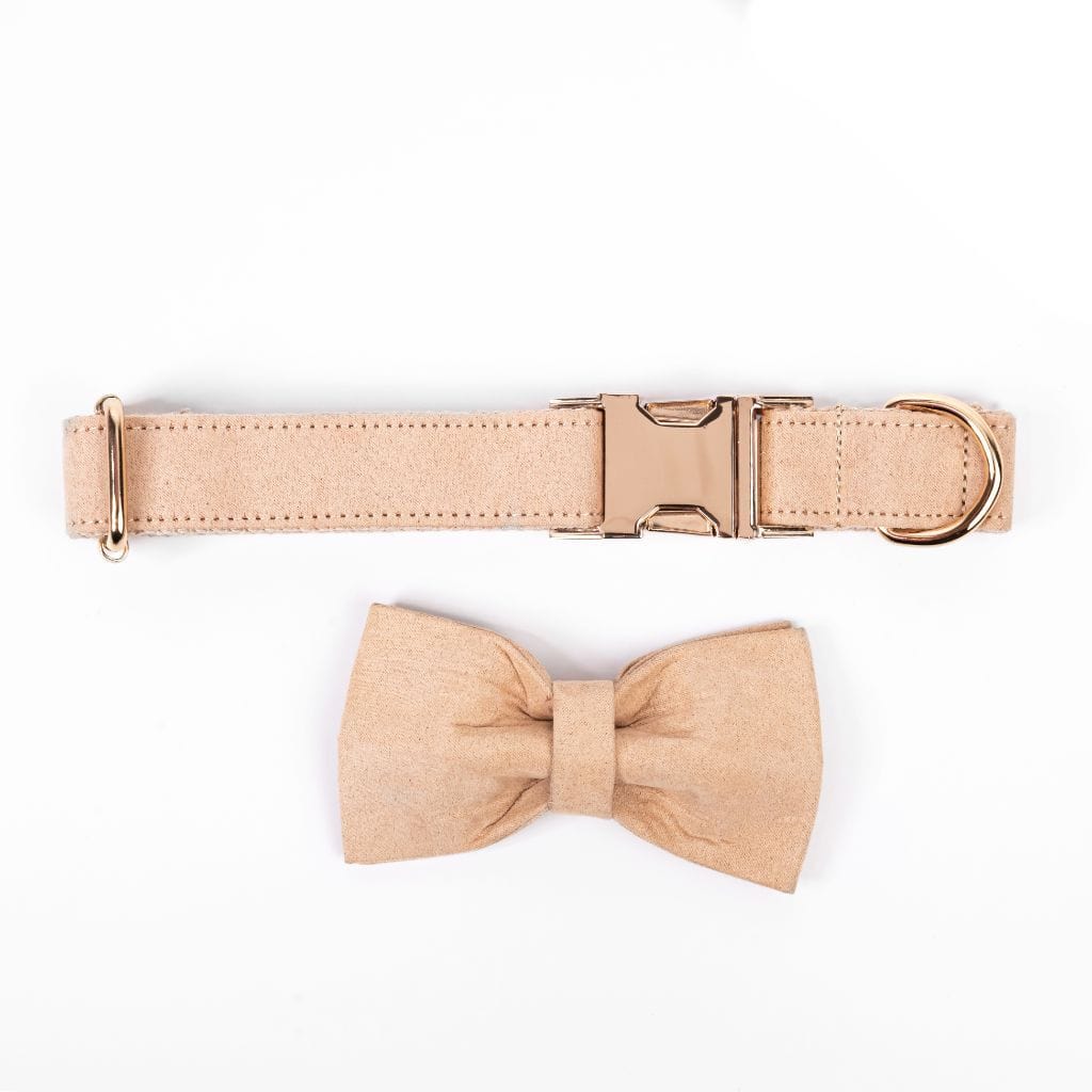 Cream Bow Tie Dog Collar - Barker &amp; Bone