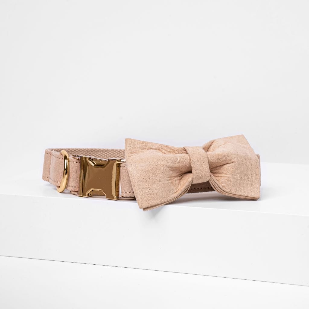 Cream Bow Tie Dog Collar - Barker &amp; Bone
