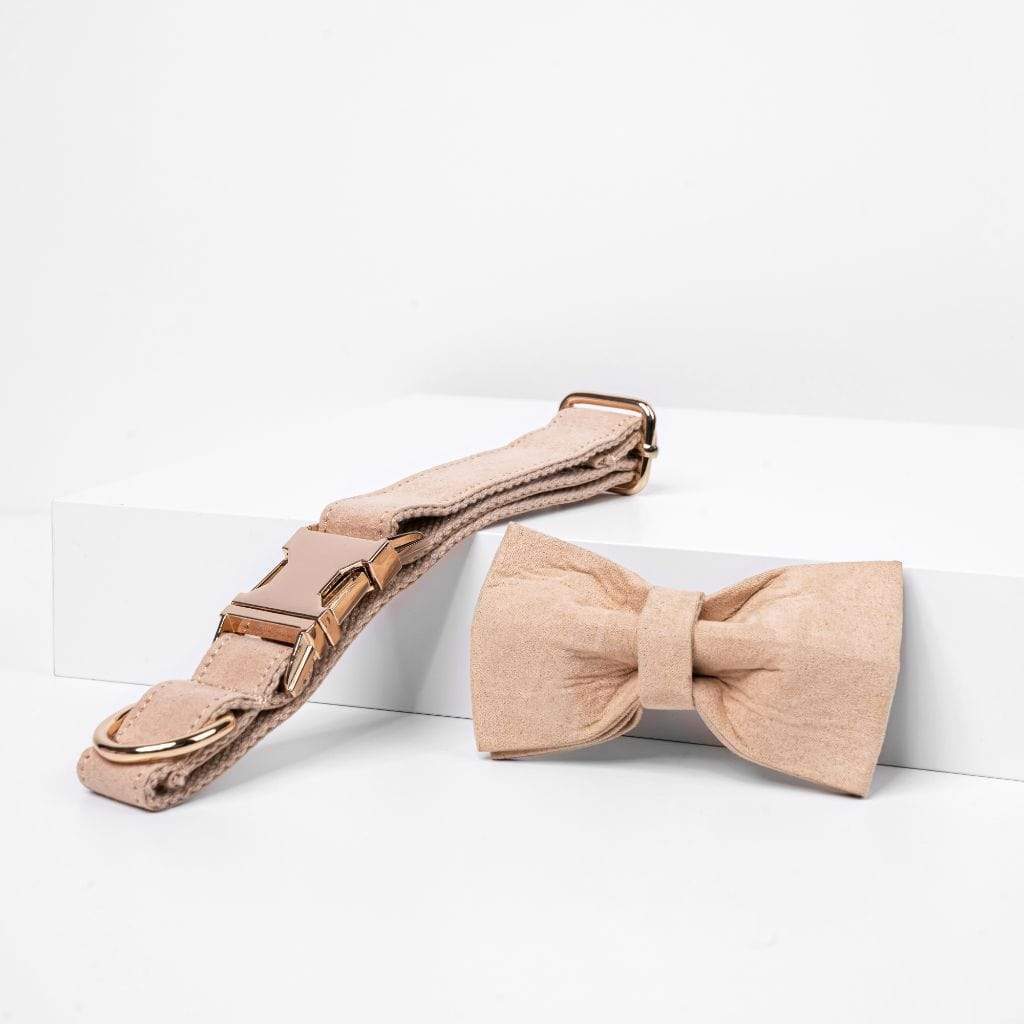 Cream Bow Tie Dog Collar - Barker &amp; Bone