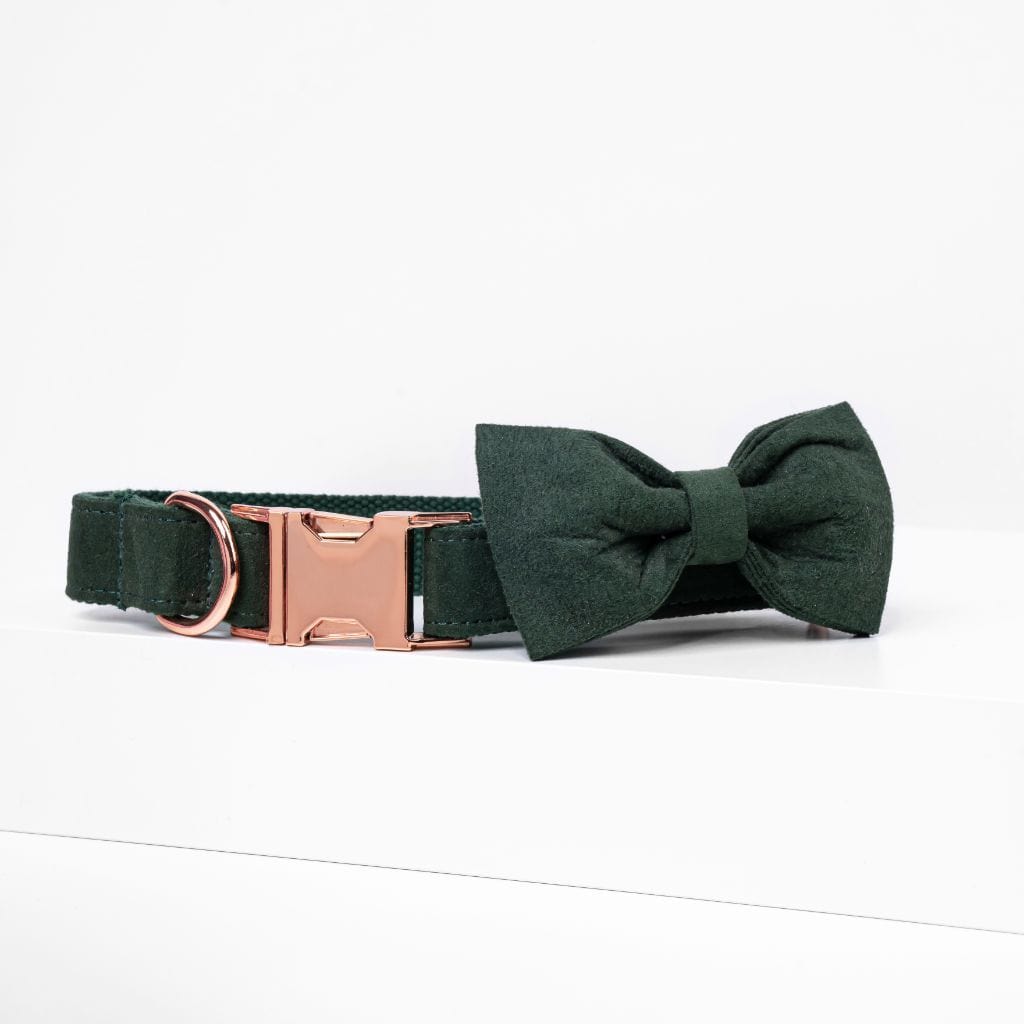 Dark Green Bow Tie Dog Collar - Barker &amp; Bone