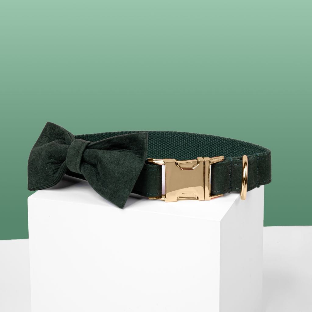 Dark Green Bow Tie Dog Collar - Barker & Bone