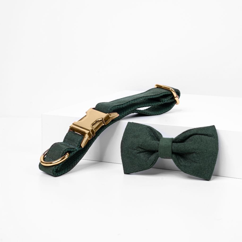 Dark Green Bow Tie Dog Collar - Barker &amp; Bone