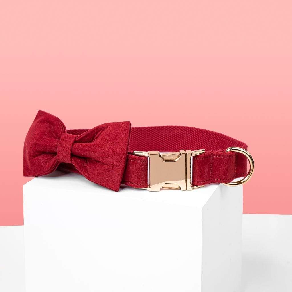 Red Velvet Bow Tie Dog Collar - Barker & Bone 