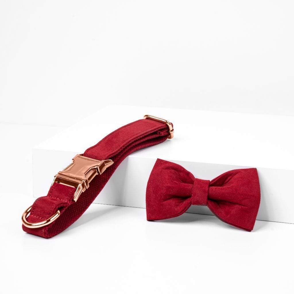 Red Velvet Bow Tie Dog Collar - Barker &amp; Bone 