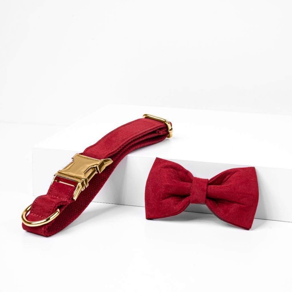 Red Velvet Bow Tie Dog Collar - Barker &amp; Bone 