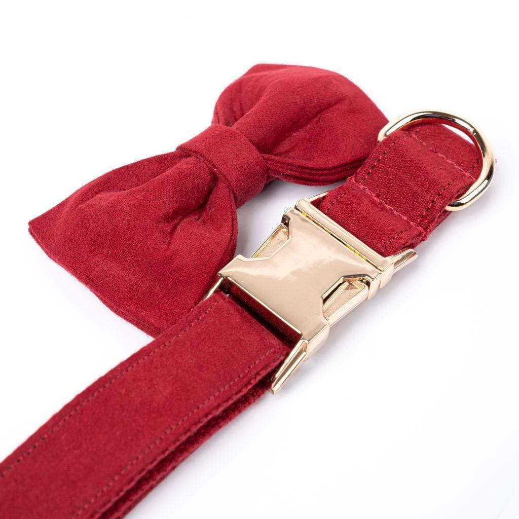 Red Velvet Bow Tie Dog Collar - Barker &amp; Bone 