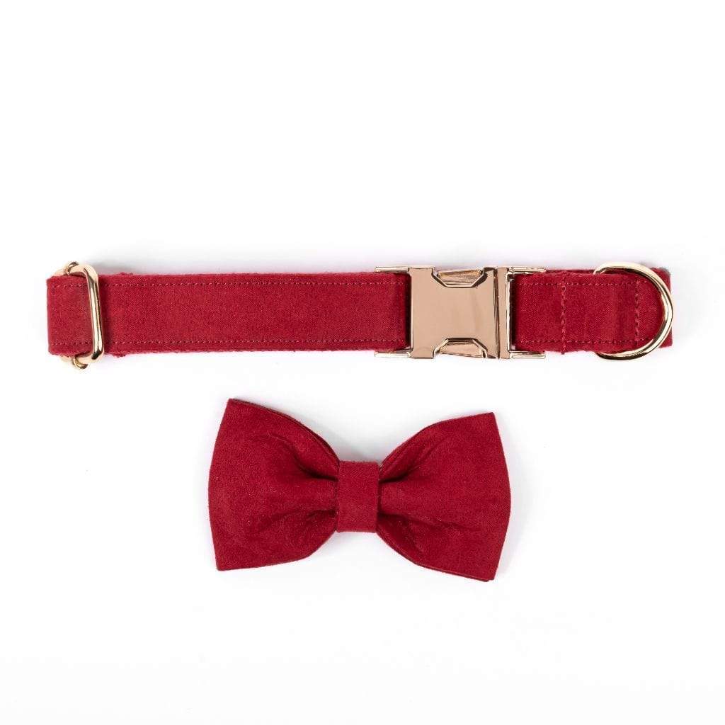 Red bow deals dog collar