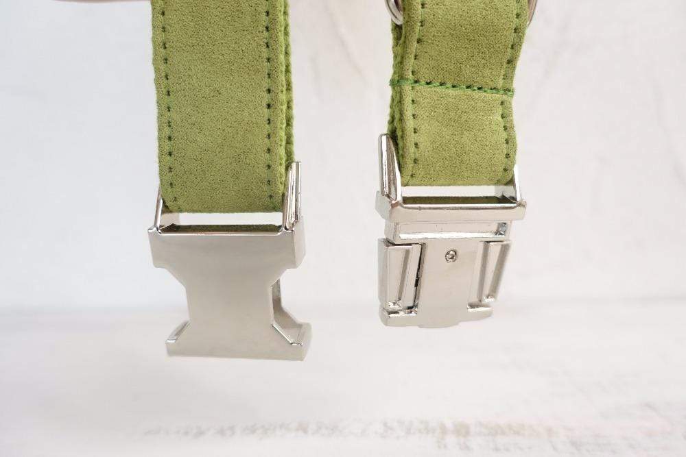 Dog Collar | Green - Barker &amp; Bone 