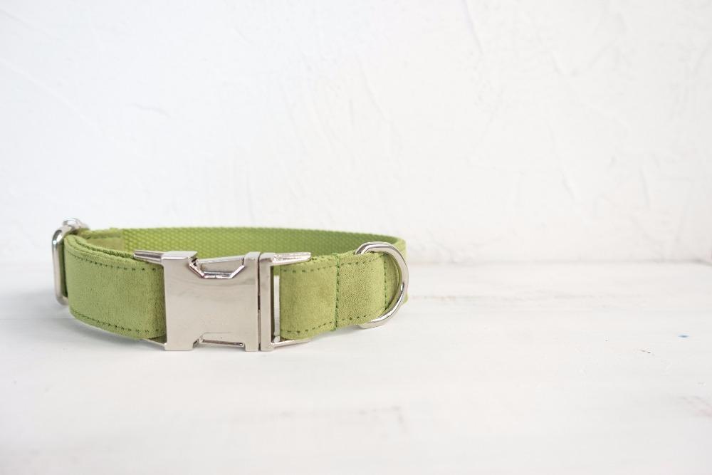 Dog Collar | Green - Barker &amp; Bone 