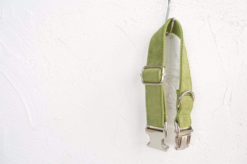 Dog Collar | Green - Barker &amp; Bone 