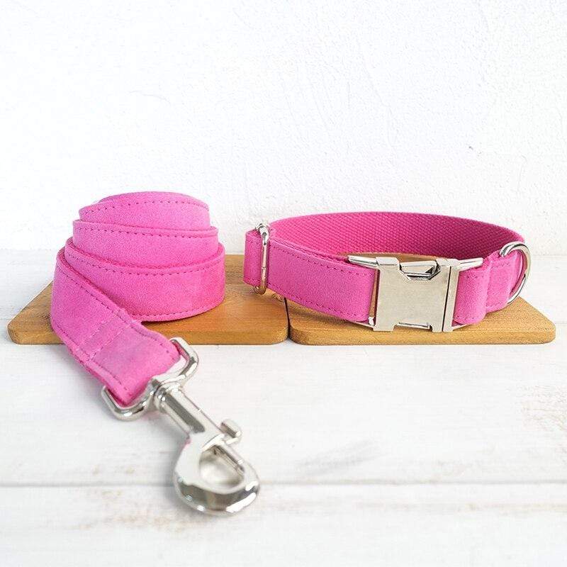 Dog Collar &amp; Leash | Pink - Barker &amp; Bone