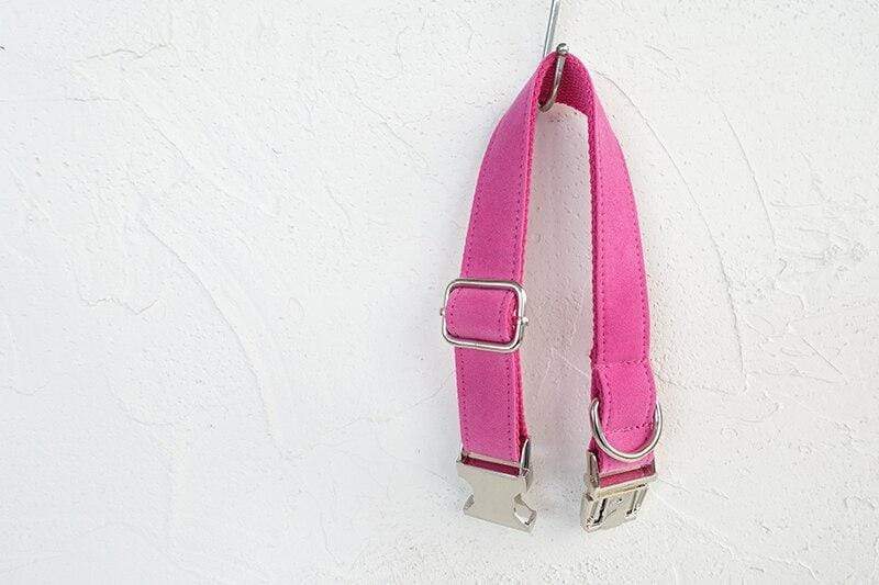 Dog Collar &amp; Leash | Pink - Barker &amp; Bone