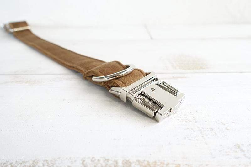 Camel Dog Collar &amp; Leash - Barker &amp; Bone 