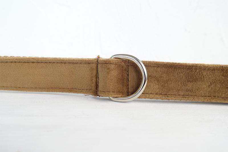 Camel Dog Collar &amp; Leash - Barker &amp; Bone 