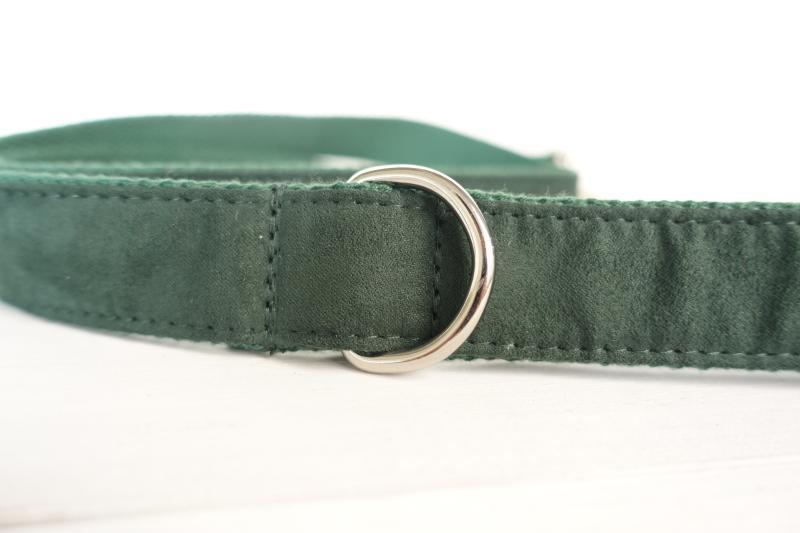 Green dog collar deals and lead
