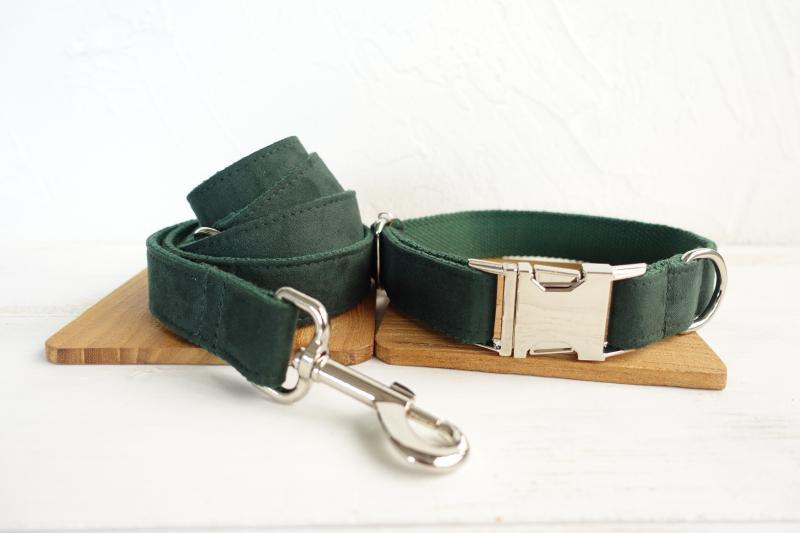 Dark Green Dog Colllar & Leash Set - Barker & Bone 