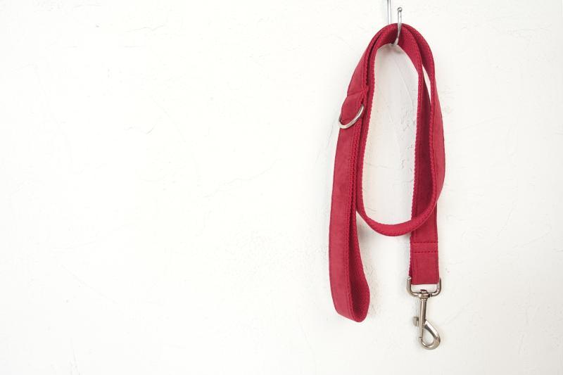 Dog Collar &amp; Leash | Red Velvet - Barker &amp; Bone