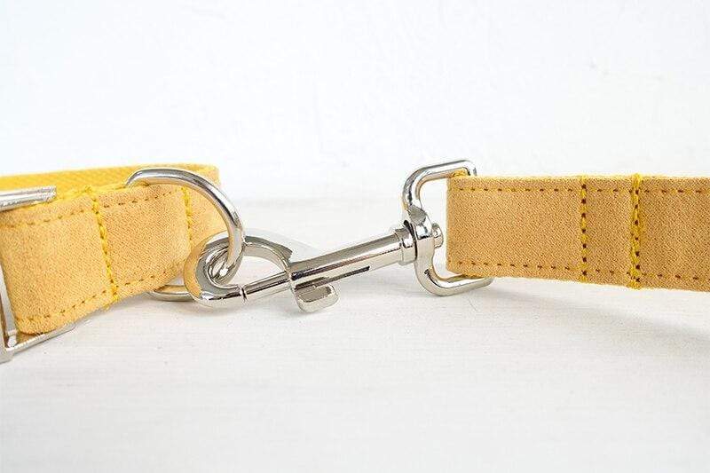 Dog Collar &amp; Leash | Yellow - Barker &amp; Bone