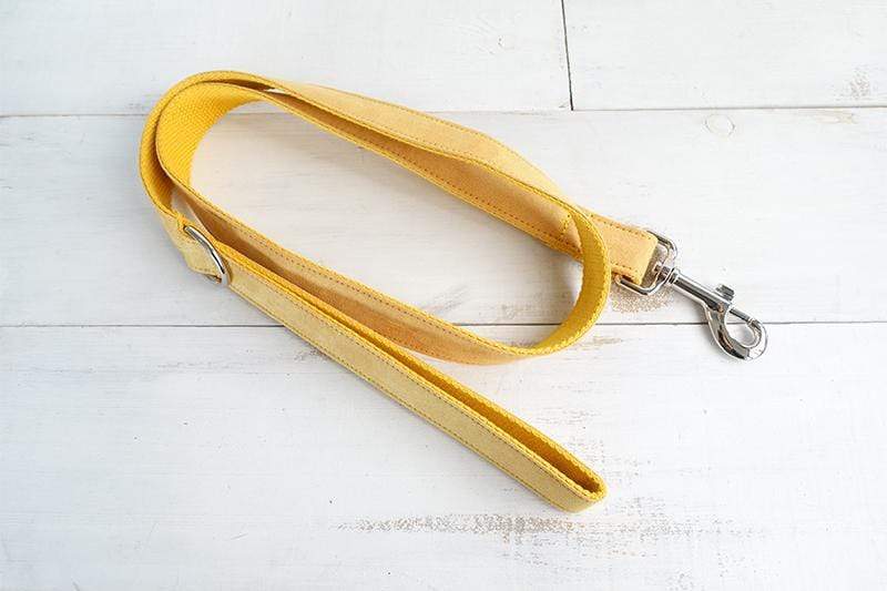 Dog Collar &amp; Leash | Yellow - Barker &amp; Bone