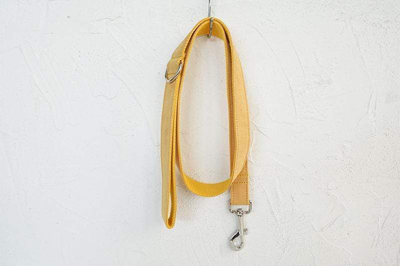 Dog Collar &amp; Leash | Yellow - Barker &amp; Bone