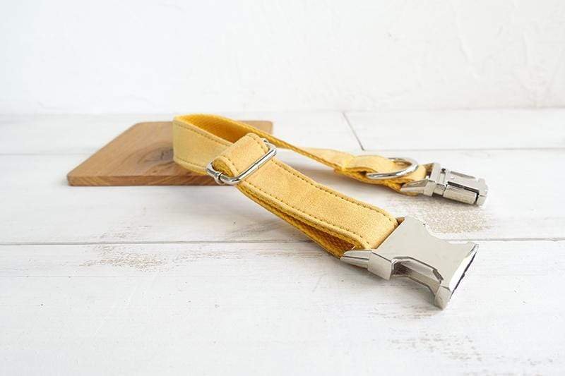 Dog Collar &amp; Leash | Yellow - Barker &amp; Bone