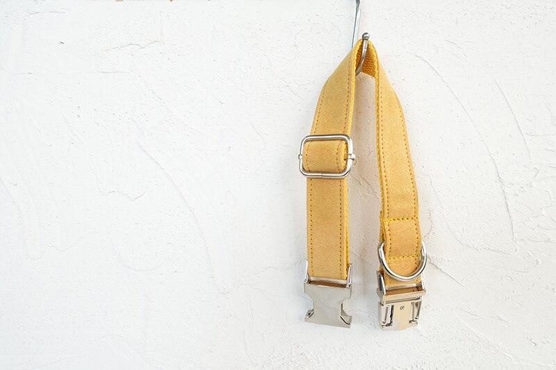 Dog Collar &amp; Leash | Yellow - Barker &amp; Bone