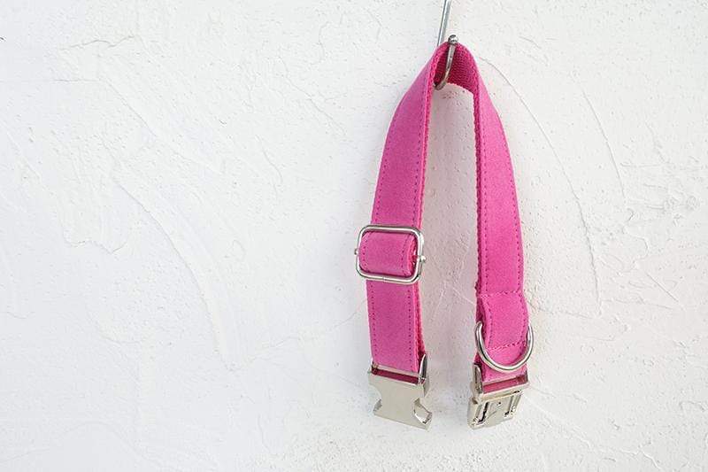 Dog Collar | Pink - Barker &amp; Bone 