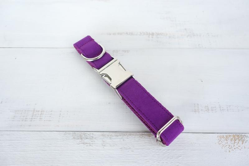 Dog Collar | Purple - Barker &amp; Bone 