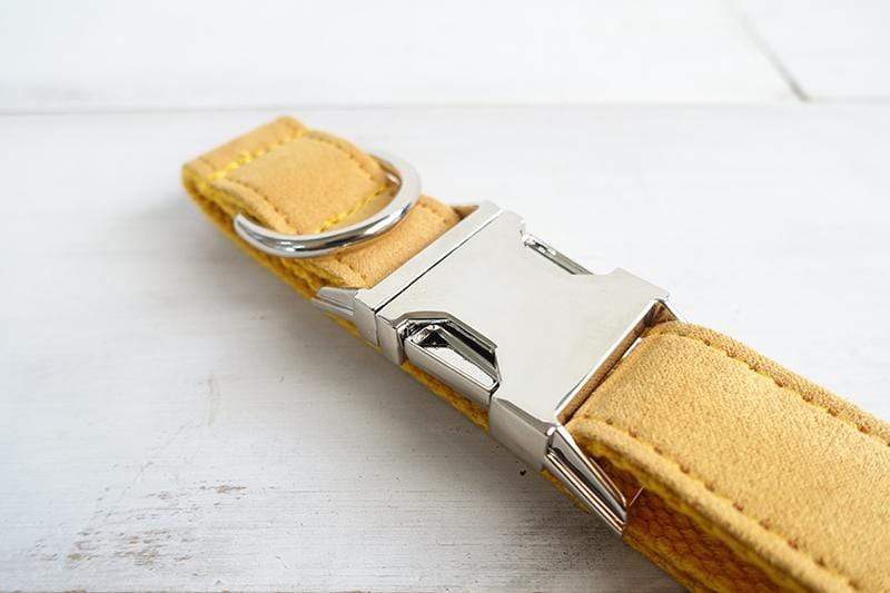 Dog Collar | Yellow - Barker &amp; Bone 