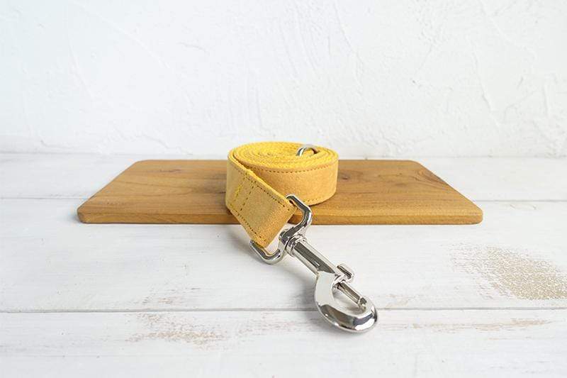 Dog Leash | Yellow - Barker &amp; Bone 