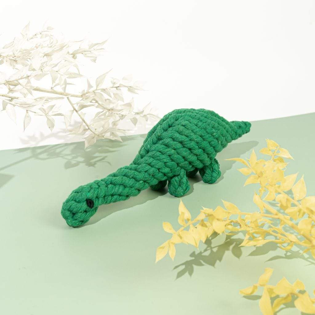 Dog Toy | Dinosaur - Barker & Bone 