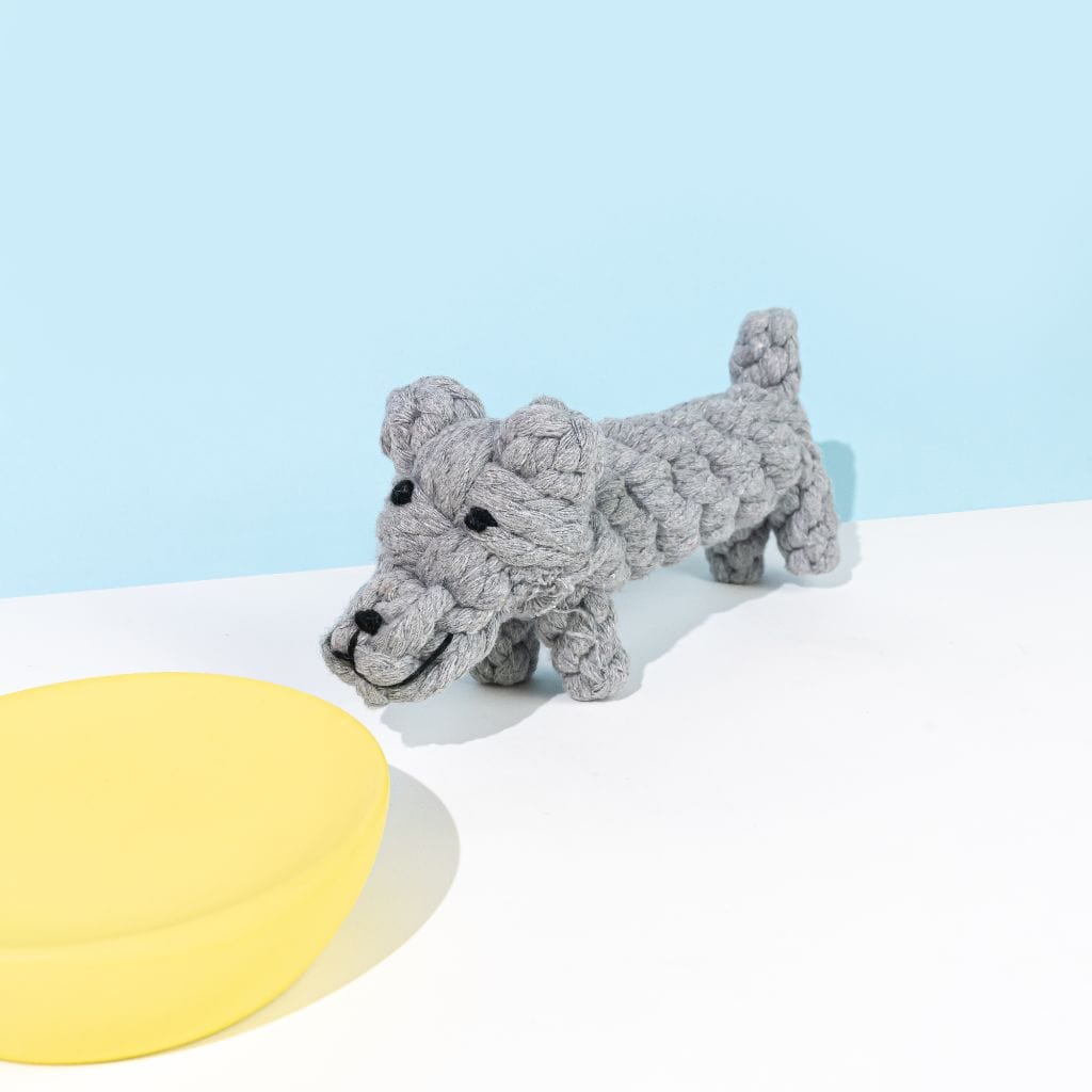 Dog Toy | Puppy- Barker & Bone 