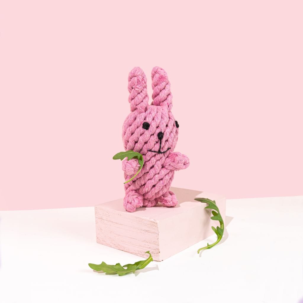 Dog Toy | Rabbit- Barker &amp; Bone 