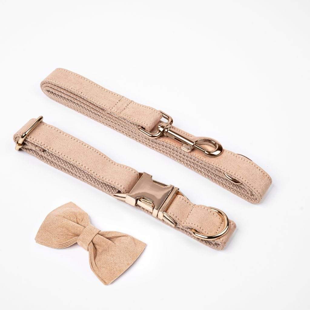  Luxe Dog Collar &amp; Leash | Cream - Barker &amp; Bone 