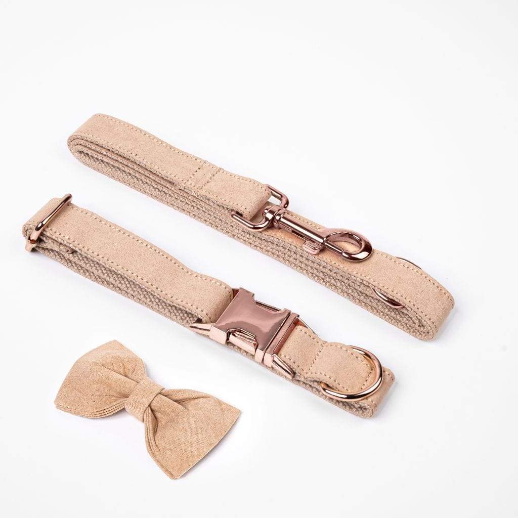  Luxe Dog Collar &amp; Leash | Cream - Barker &amp; Bone 