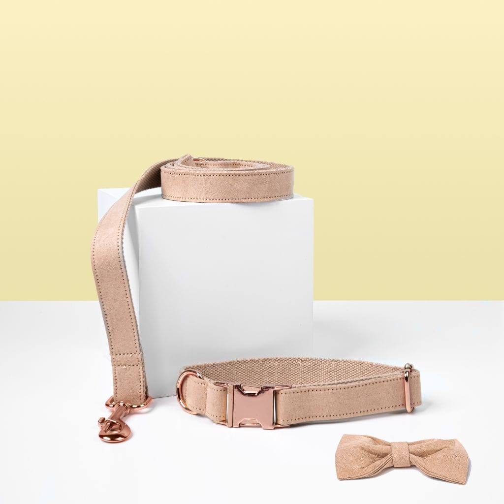  Luxe Dog Collar &amp; Leash | Cream - Barker &amp; Bone 