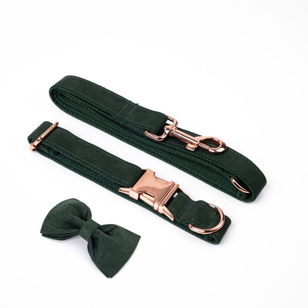  Luxe Dog Collar &amp; Leash | Dark Green - Barker &amp; Bone 