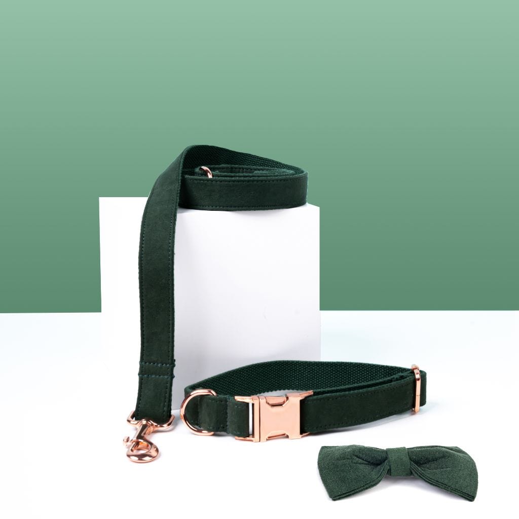  Luxe Dog Collar &amp; Leash | Dark Green - Barker &amp; Bone 