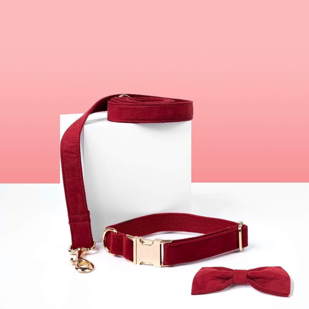 Luxe Dog Collar & Leash | Red Velvet - Barker & Bone 