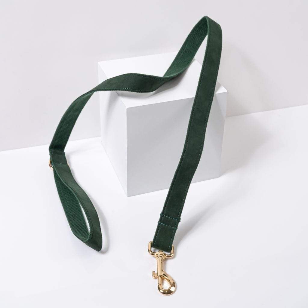 Luxe Dog Leash | Dark Green - Barker &amp; Bone