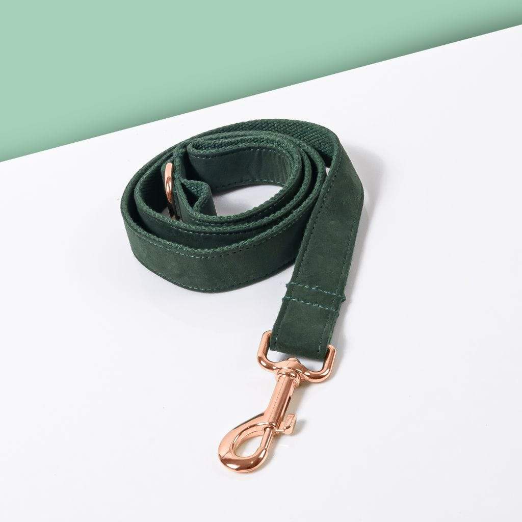 Luxe Dog Leash | Dark Green - Barker &amp; Bone