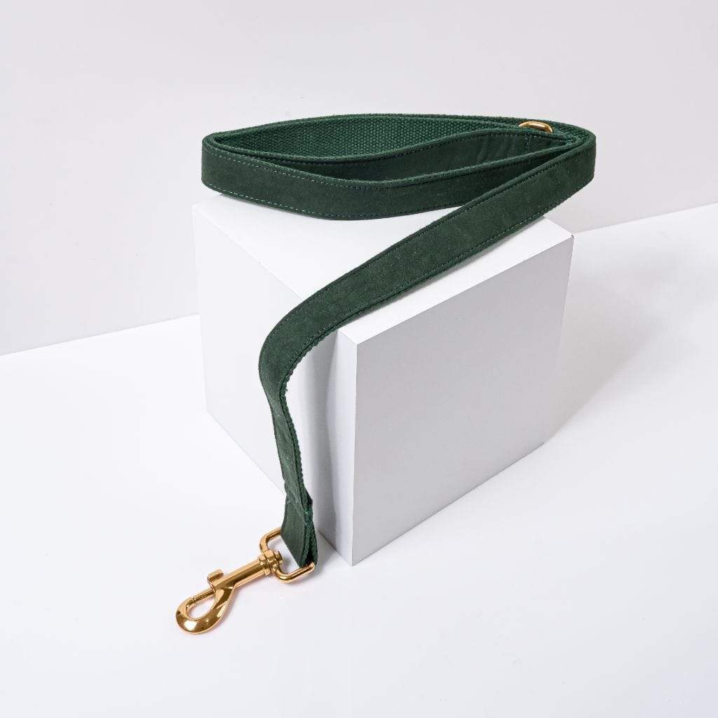 Luxe Dog Leash | Dark Green - Barker &amp; Bone