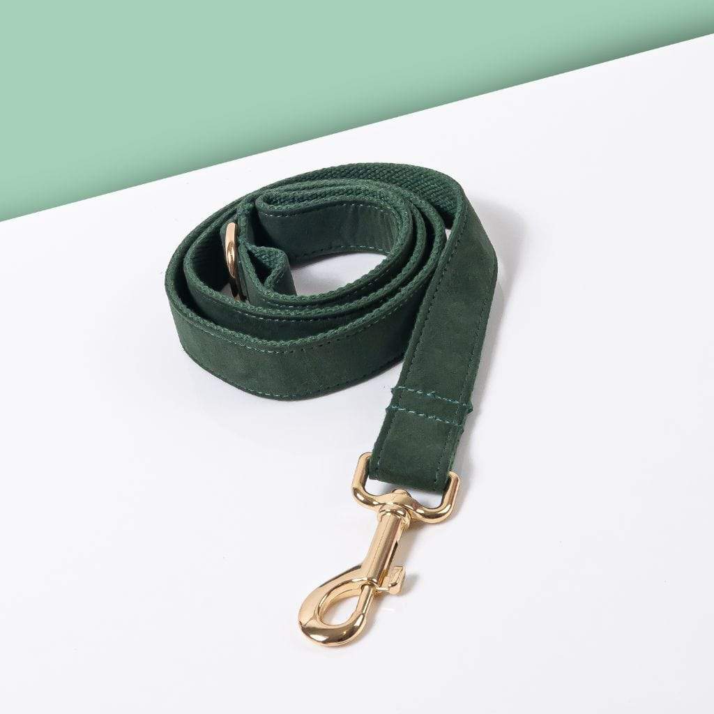 Luxe Dog Leash | Dark Green - Barker & Bone