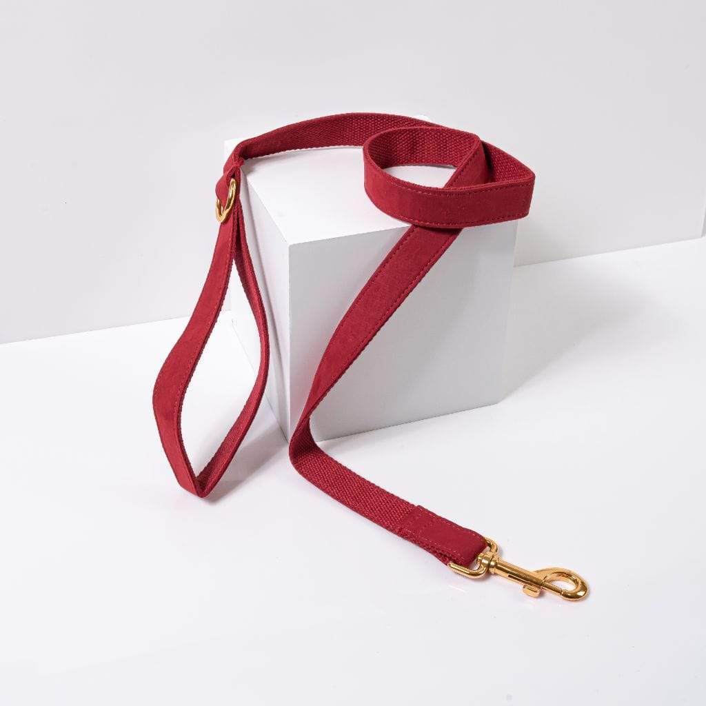  Luxe Dog Leash | Red Velvet- Barker &amp; Bone 